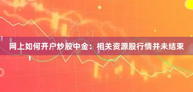 网上如何开户炒股中金：相关资源股行情并未结束